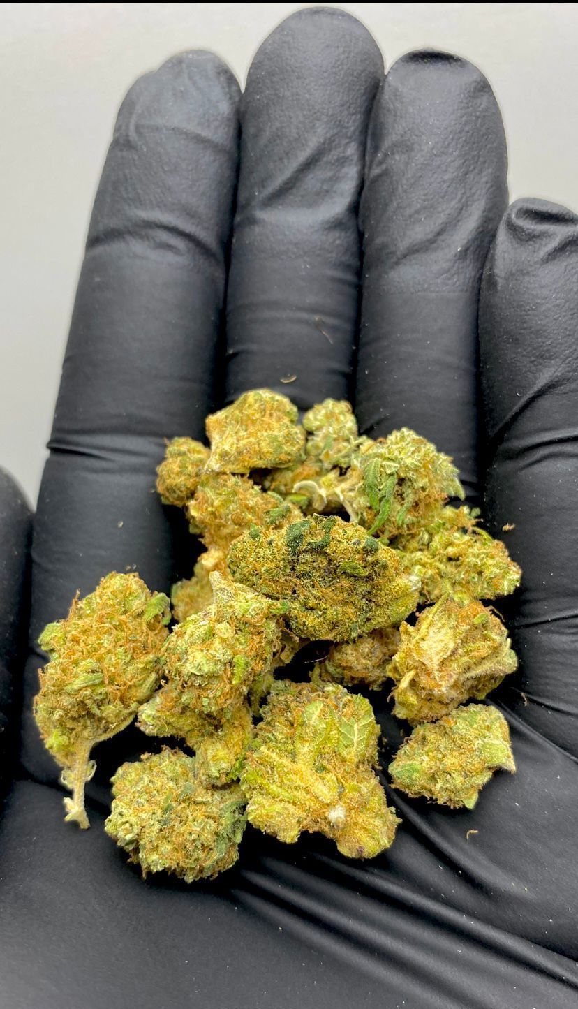 Mango Rainbow - A partir de € 3.79 / gr. TTC