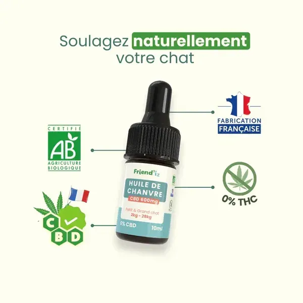 Une bouteille d'huile de chanvre d'un ami se trouve à côté de sa boîte
