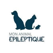 Un chien, un chat et une souris sont assis l'un à côté de l'autre sur un fond blanc.