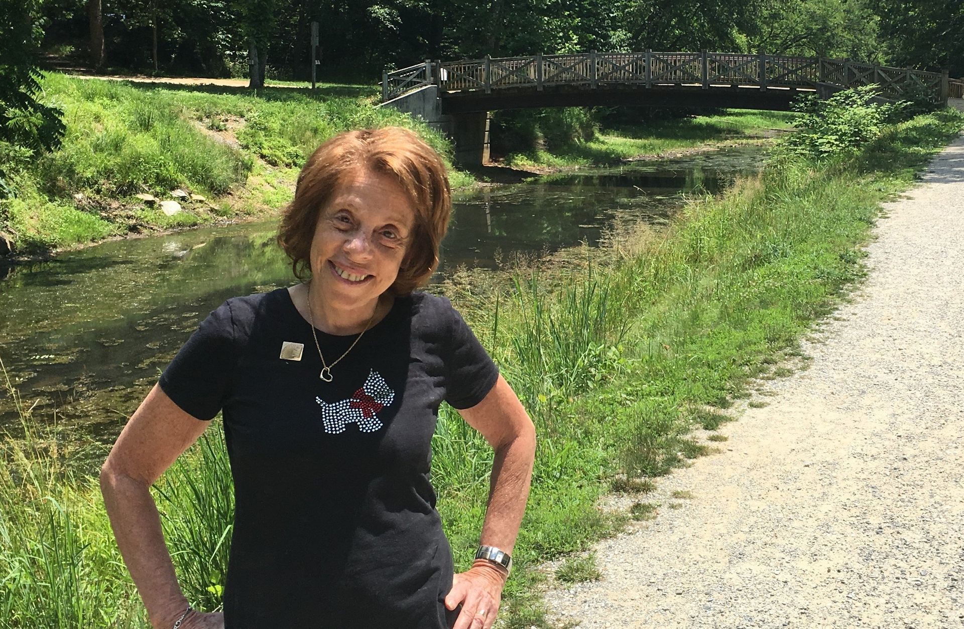 Bridge Spree Picture