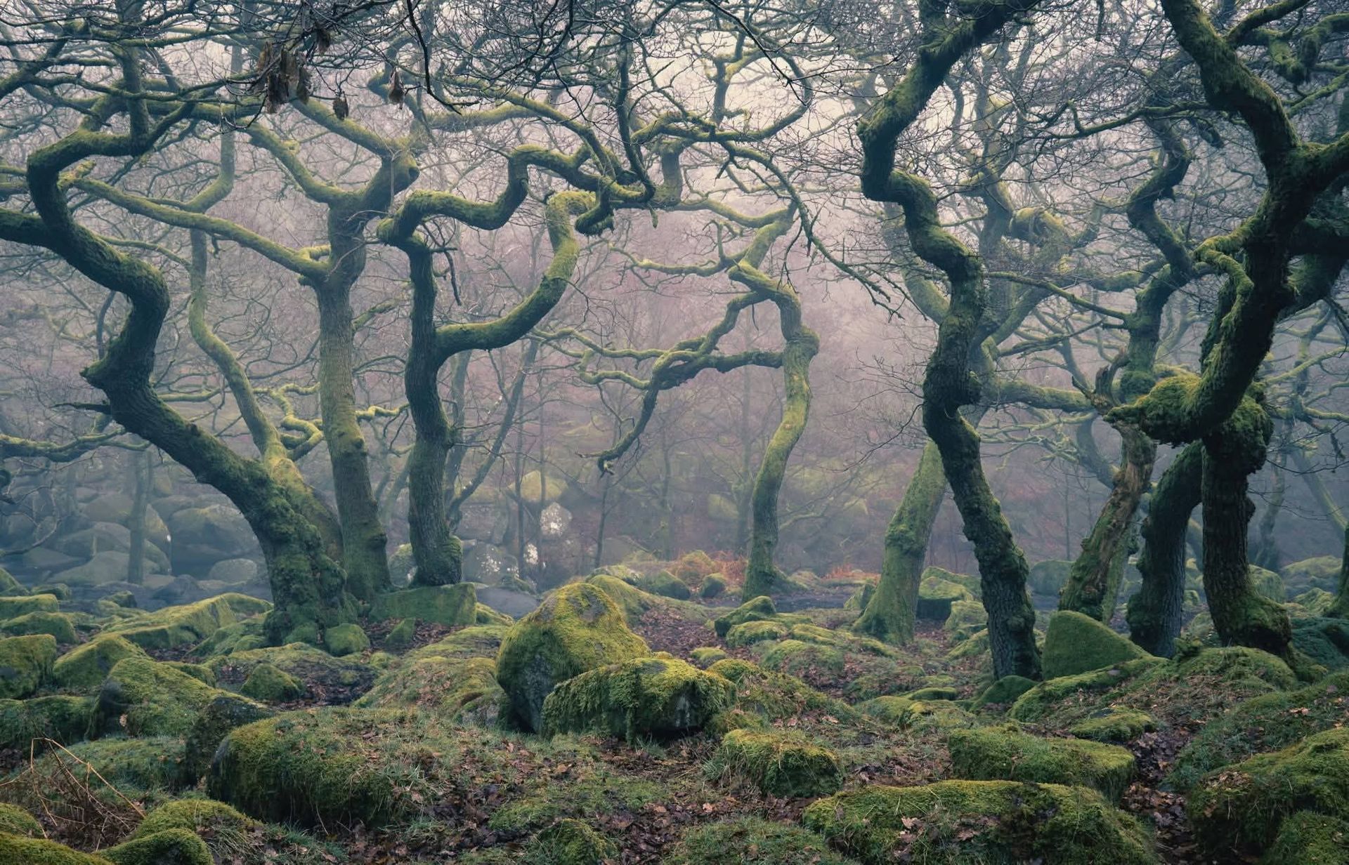 能量商品為何有用