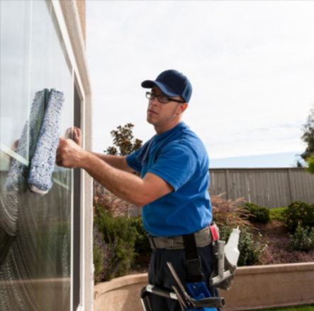 Professional window cleaner 
