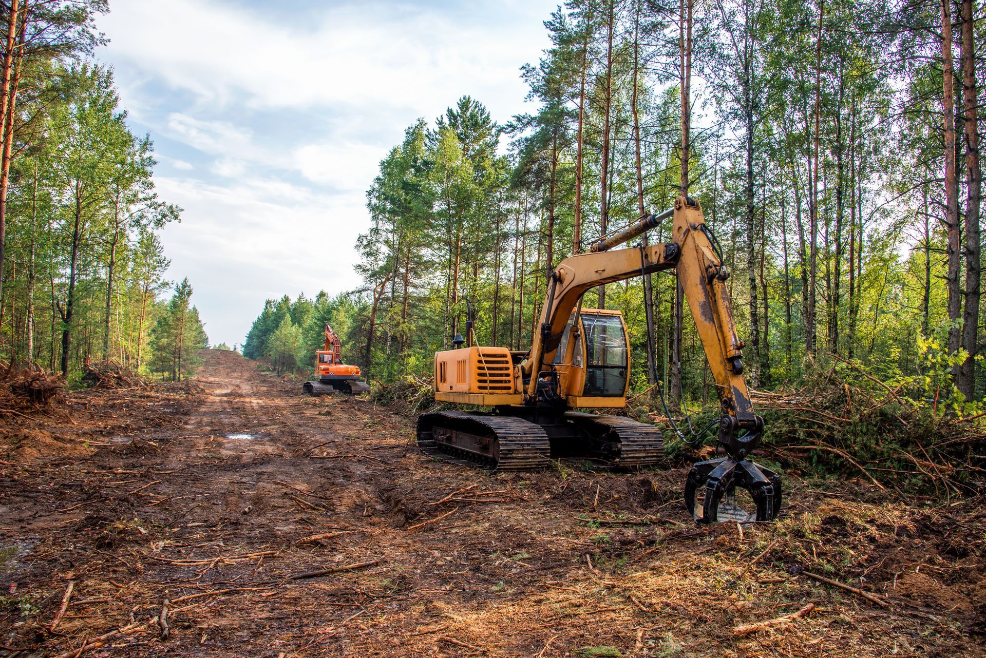 Excavator clearing a forest road, with cut trees and a dirt path through pine woods