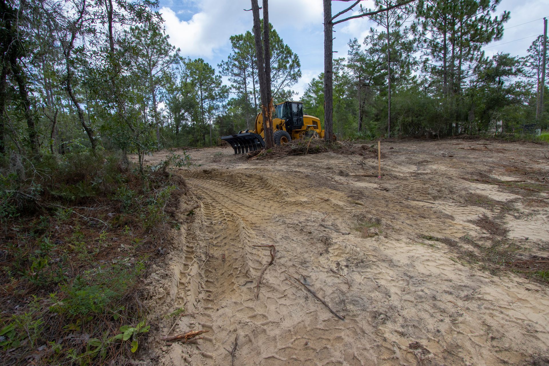 Bulldozer clearing a sandy dirt road in a pine forest under cloudy sky
