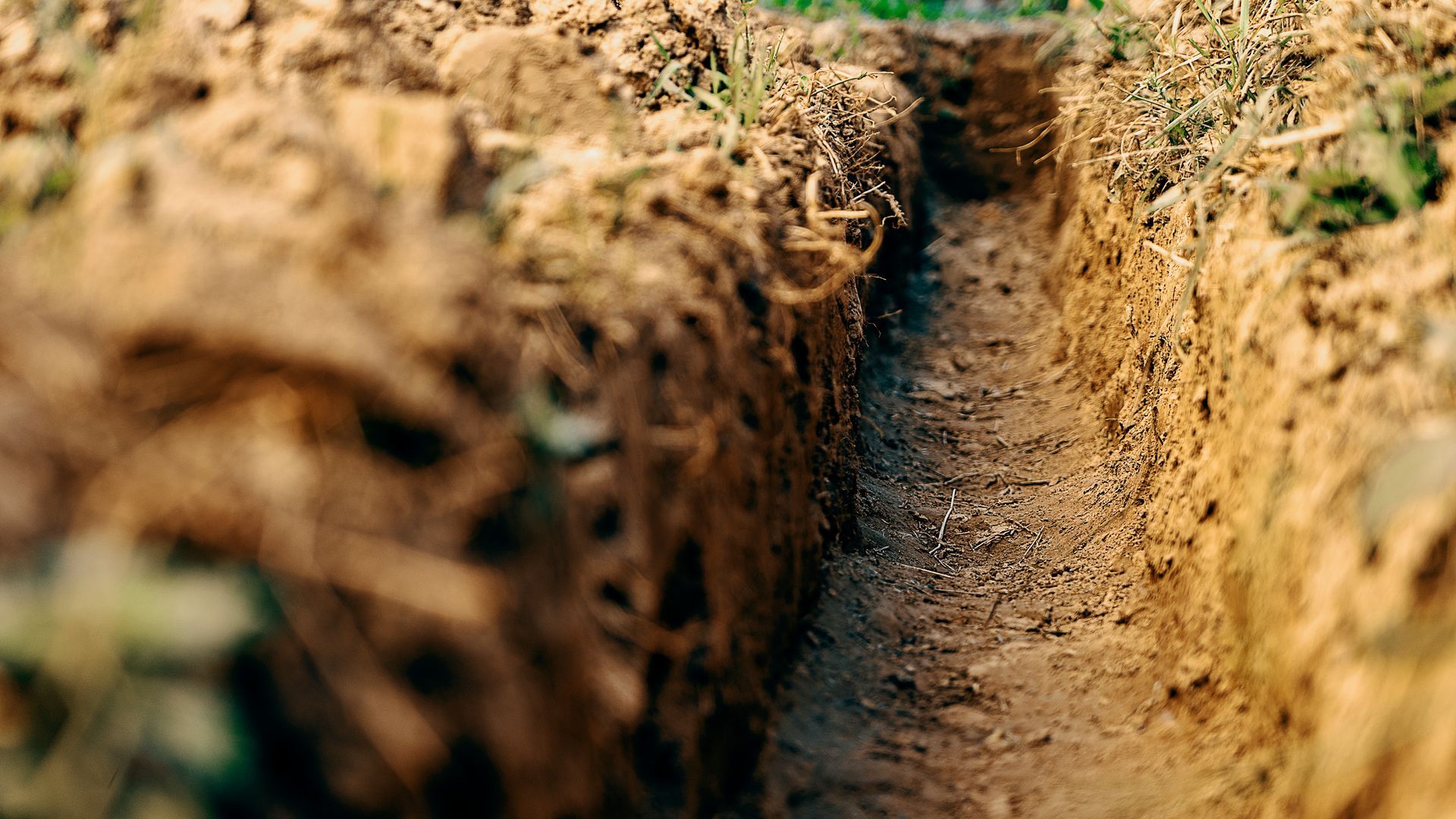 Close-up of a narrow dirt trench with rough soil walls and a small green plant at the top.