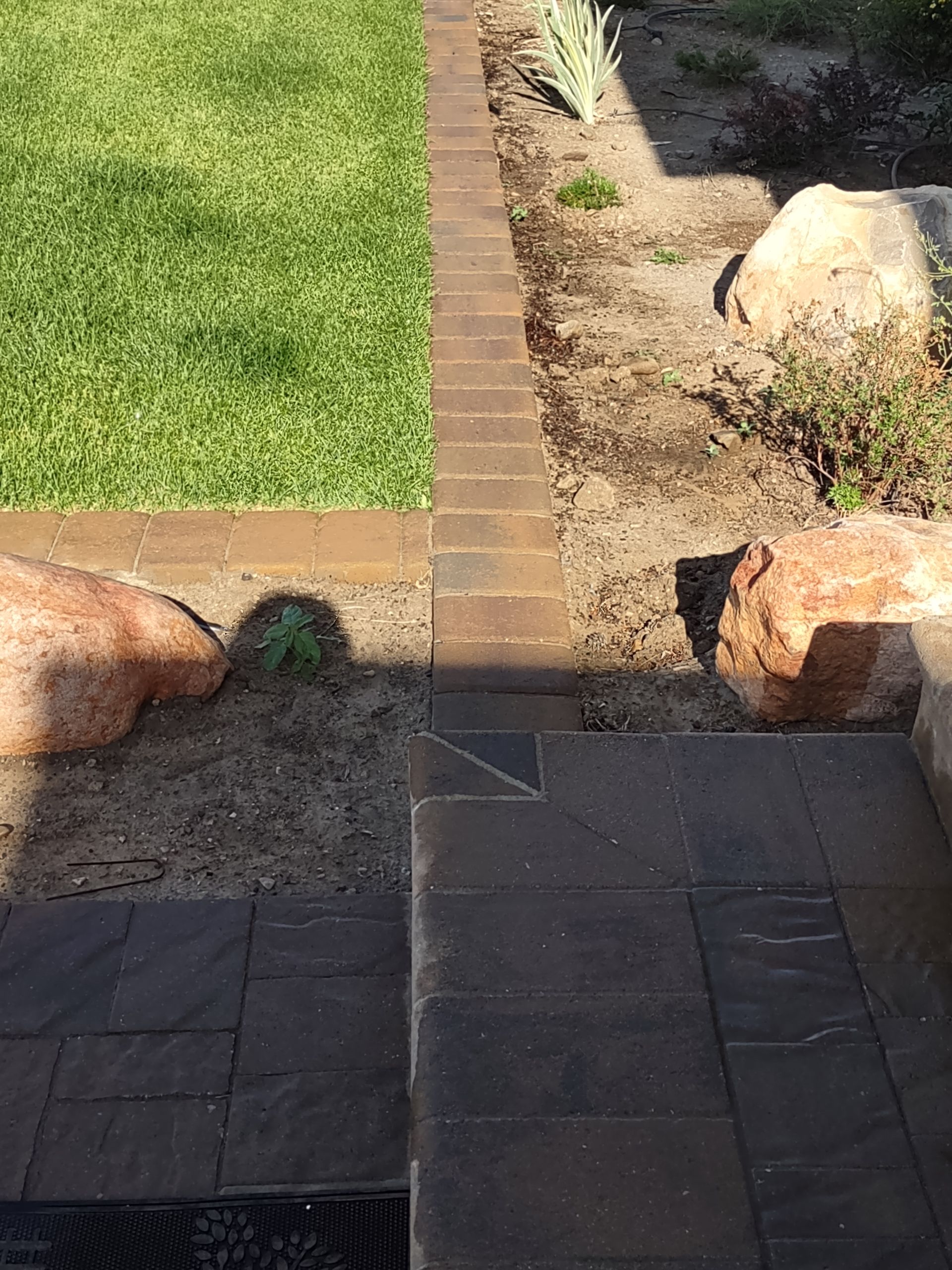 A person is measuring a stone walkway with a tape measure.