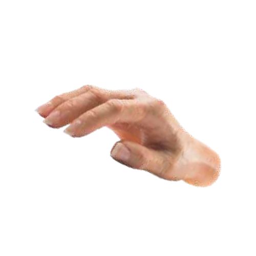 Cosméticas estándar