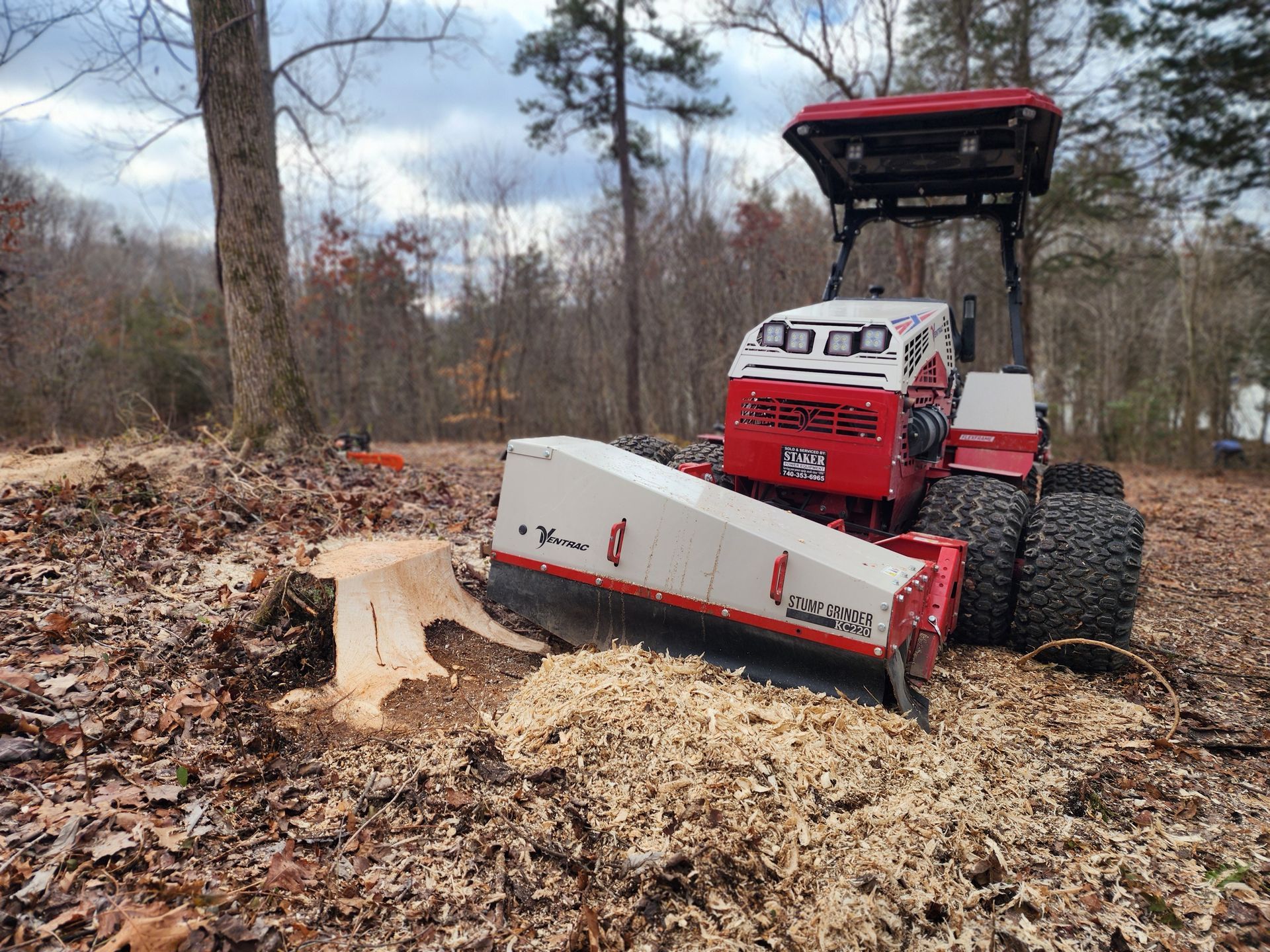 Stump grinding in peebles