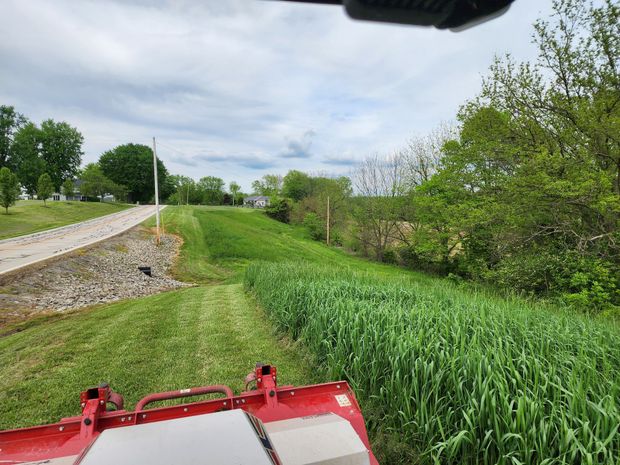 Bush hogging in dayton