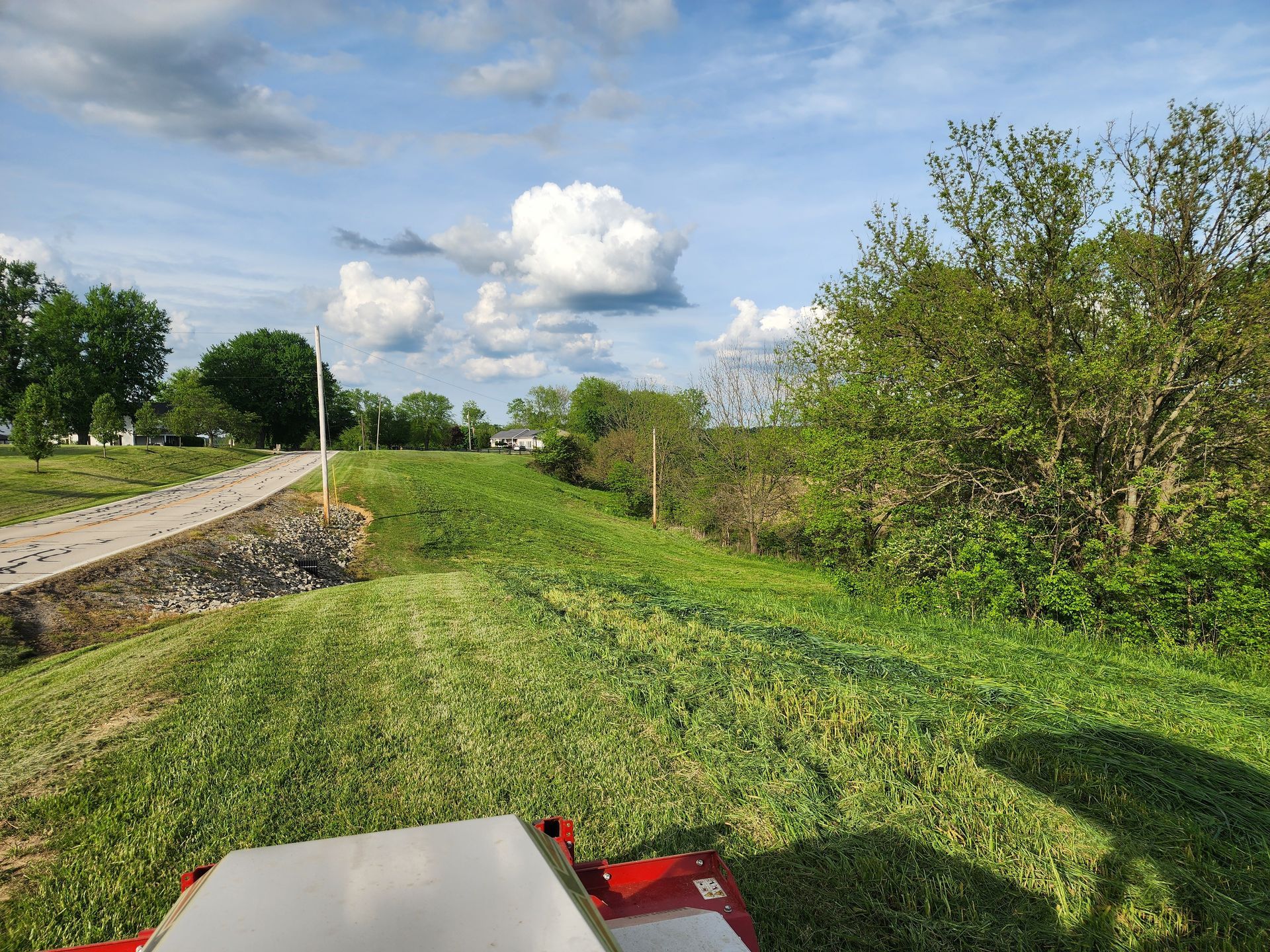 Stump grinding in hillsboro