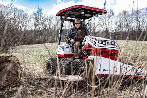 Stump grinding in southern ohio