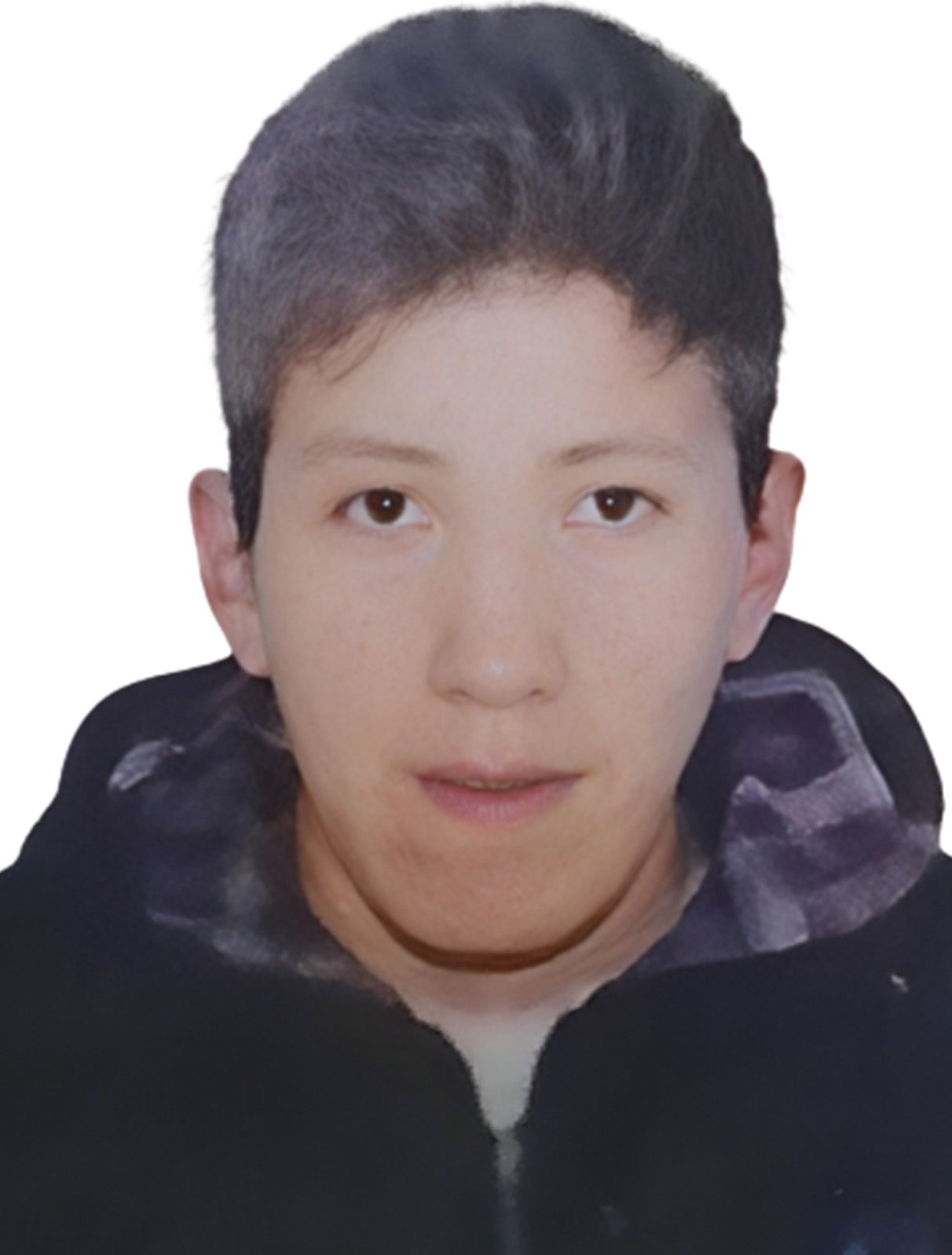 CARI QUISPE JOSE LUIS