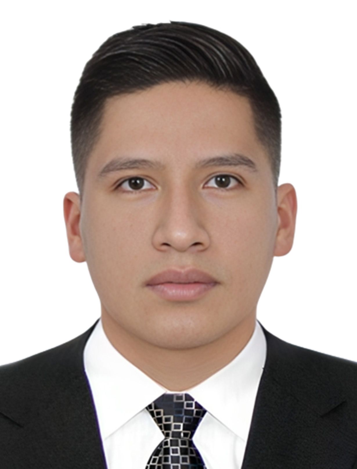 SANIZ DIAZ WILFREDO ENRIQUE
