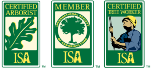 Three logos for certified arborist member and tree worker