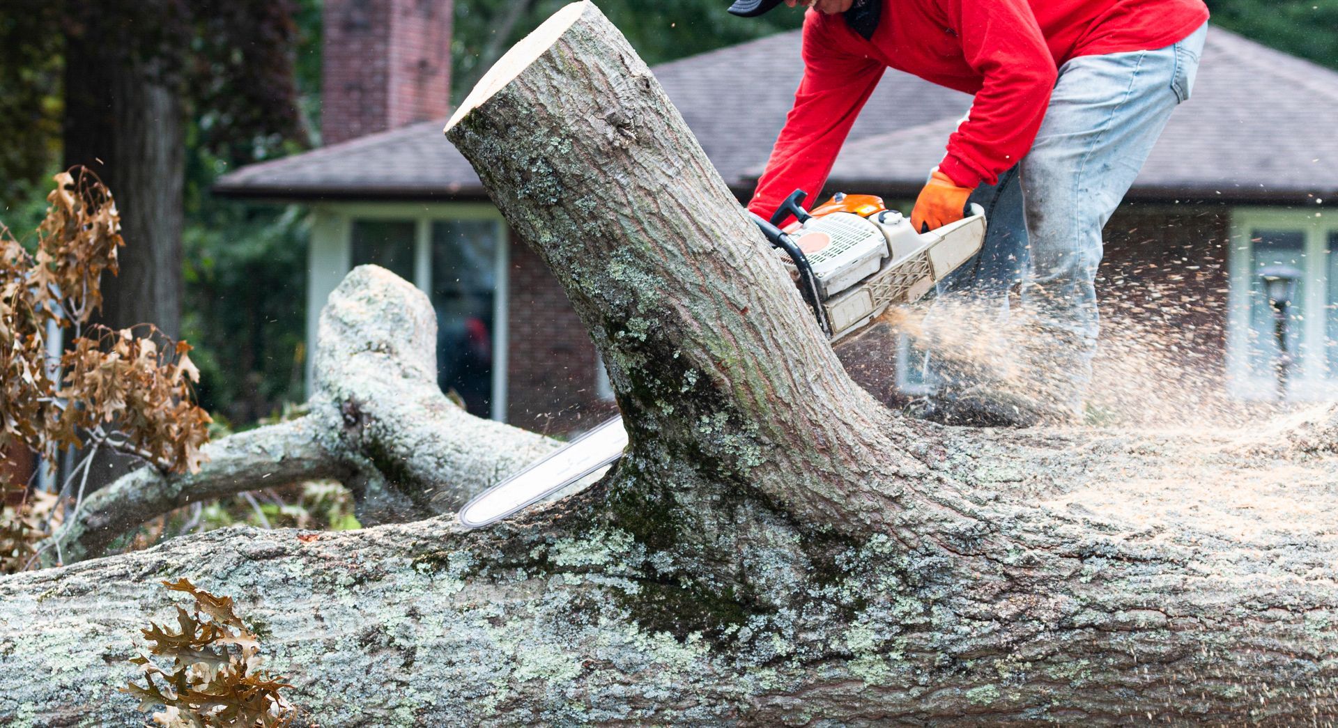 A man is cutting a tree stump with a chainsaw.