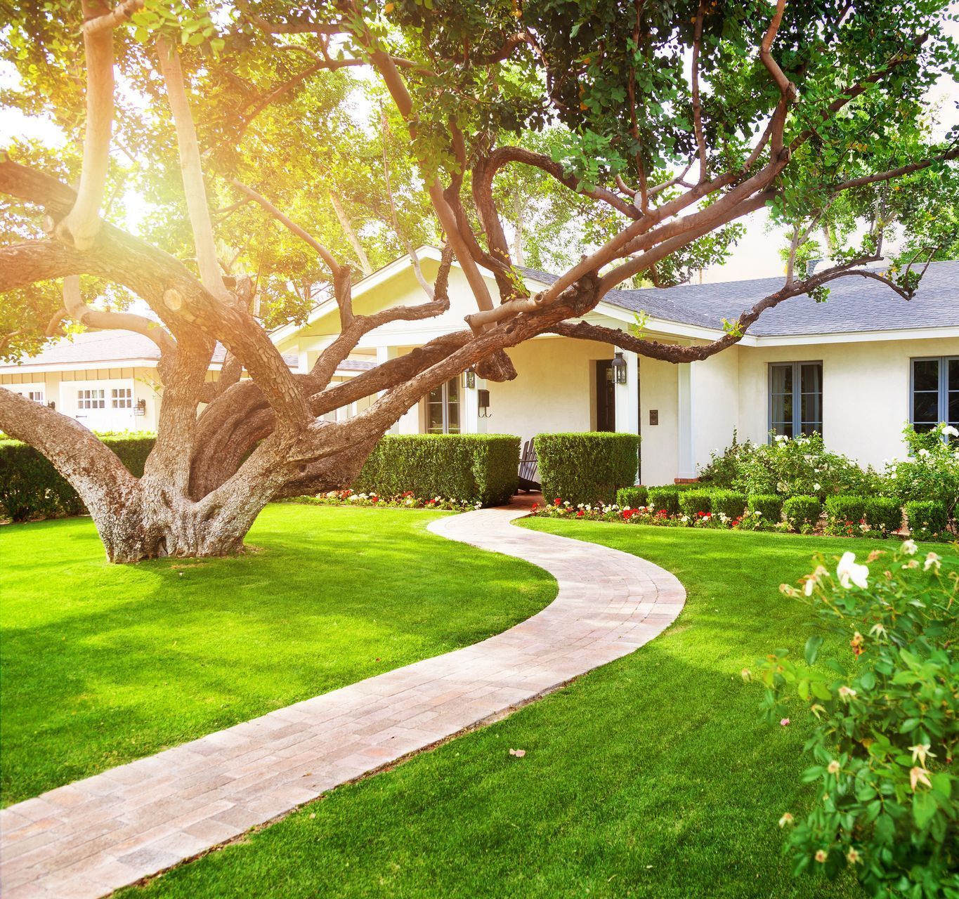 A white house with a tree in front of it