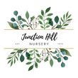 Junction Hill Nursery: Your Old Fashioned Nursery in Grafton