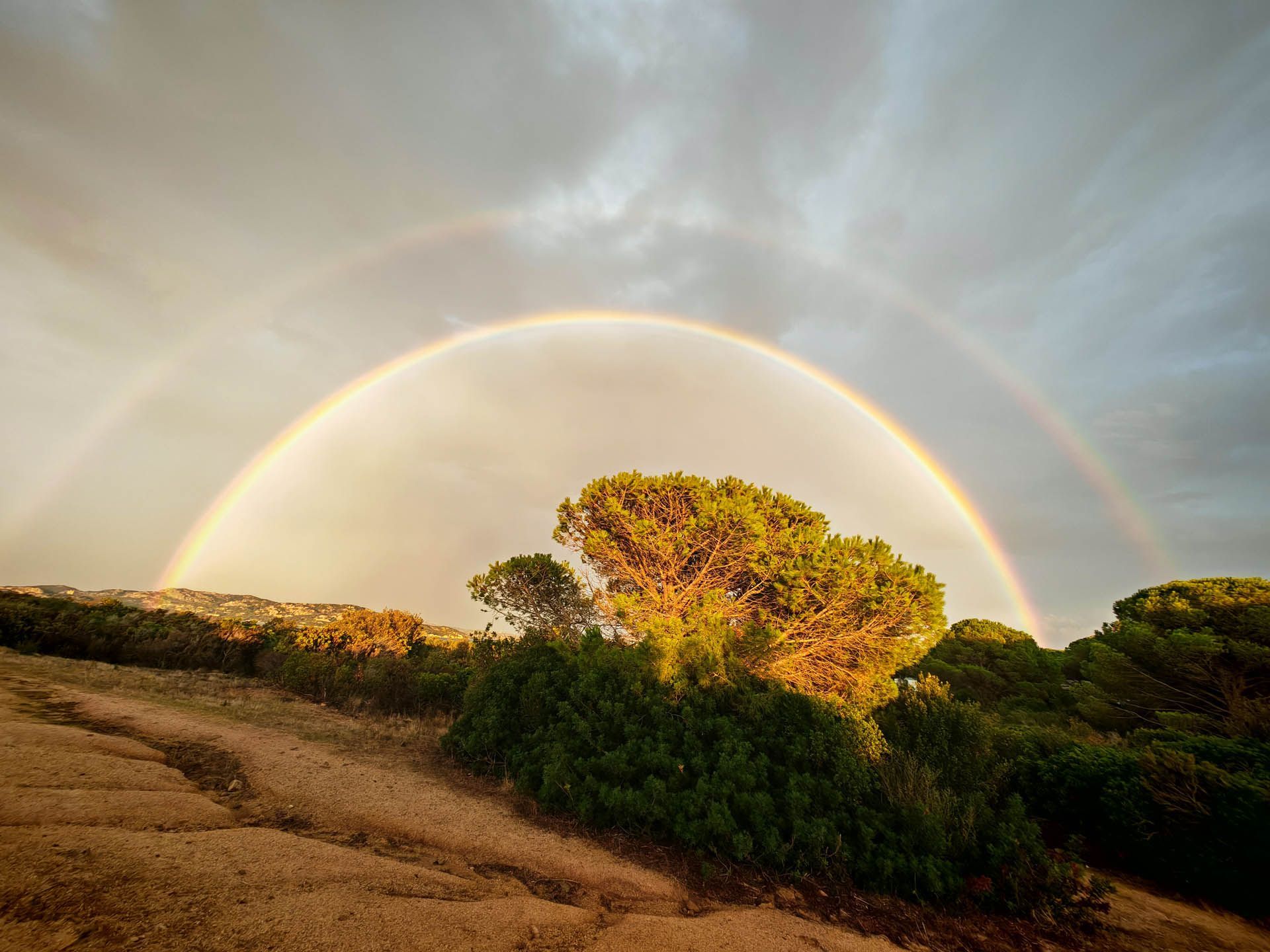 Ein doppelter Regenbogen spannt sich über Bäume und eine sandige Landschaft unter einem bewölkten Himmel.