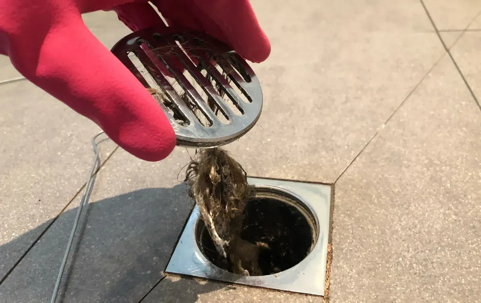 A person is cleaning a drain with a rubber glove.