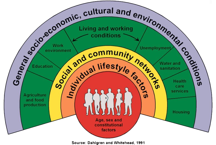 model of the determinants of health. Individual lifestyle factors, social and community networks, living and working conditions, and general socio-economic, cultural and environmental conditions. Source: Dahlgren and Whitehead, 1991