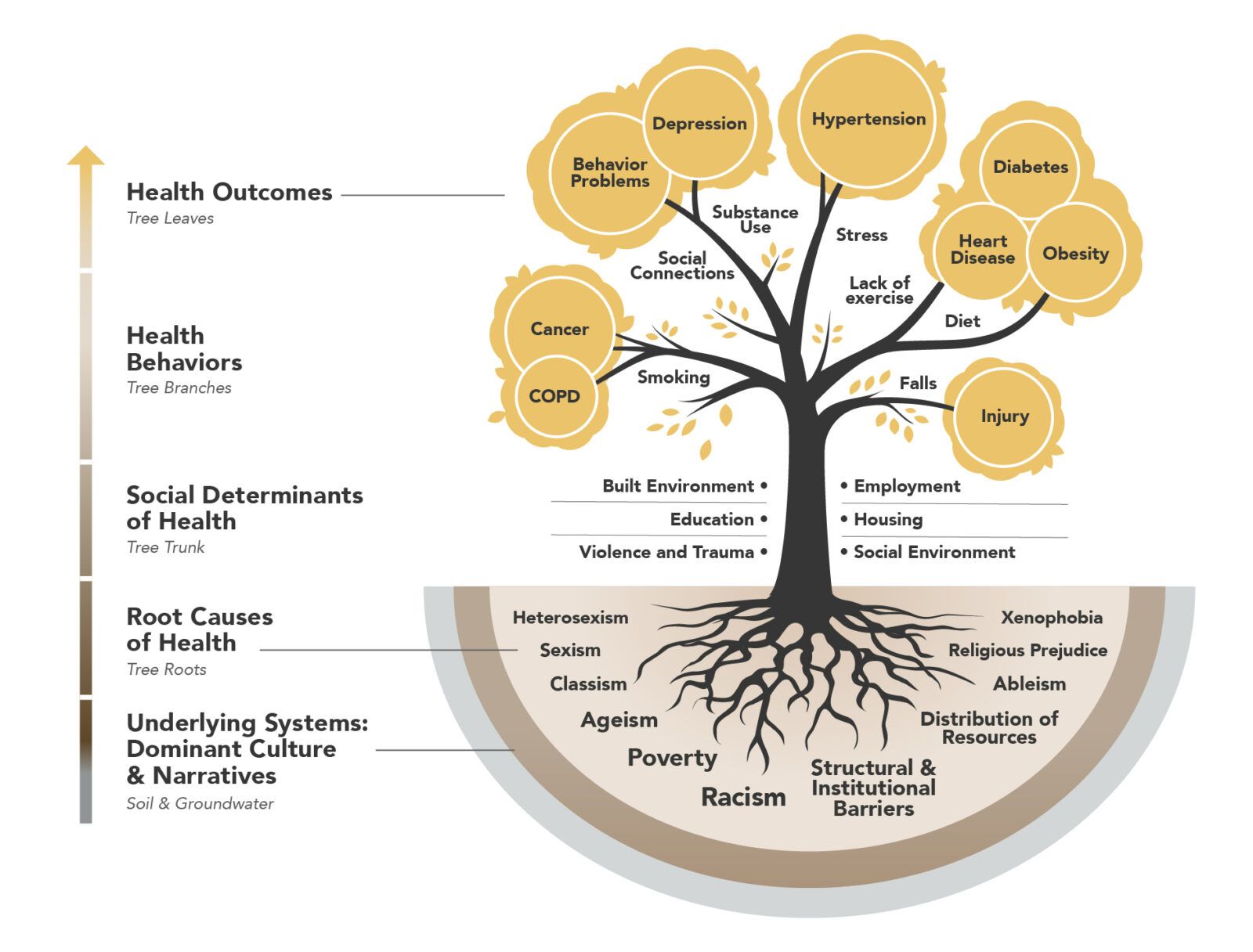 The tree metaphor is designed to visualize how underlying systems, root causes, social determinants, and health outcomes are integral parts of a health ecosystem. Inequities in health outcomes and social determinants are a direct result of deeply rooted systems of oppression—policies, systems, and environments—and the culture and narratives in which they are steeped. The overlapping network of tree roots is an intentional design element illustrating the complexity of these influences that we must grapple with and embrace through our work to transform our communities.