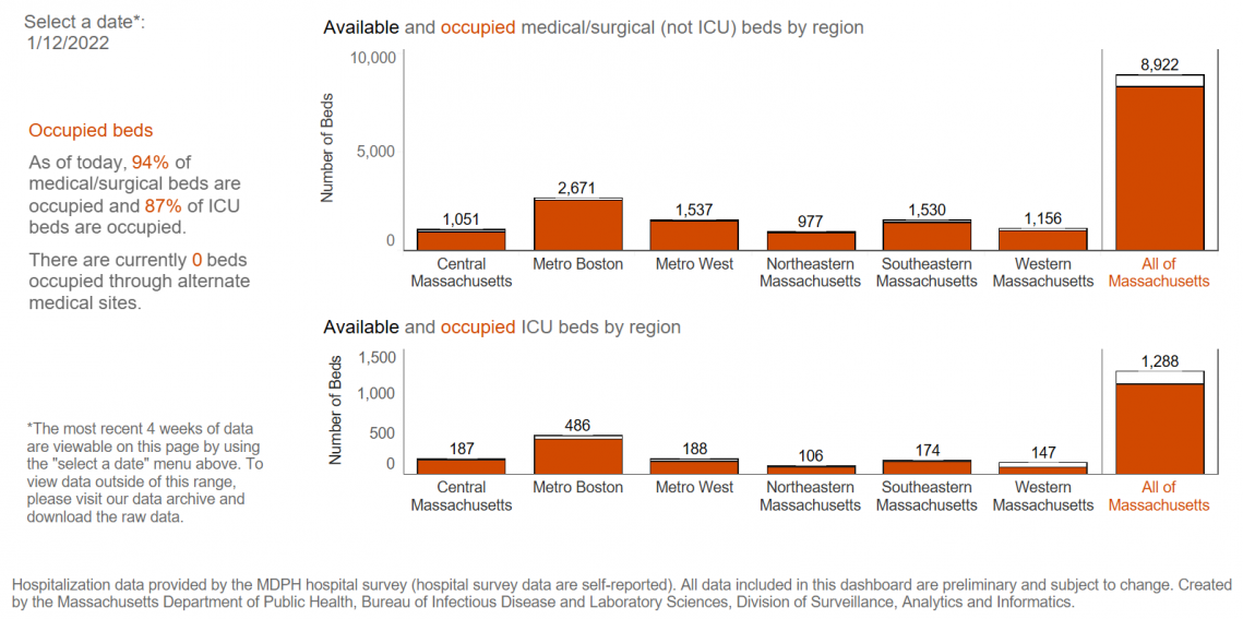 Hospital Capacity by Region