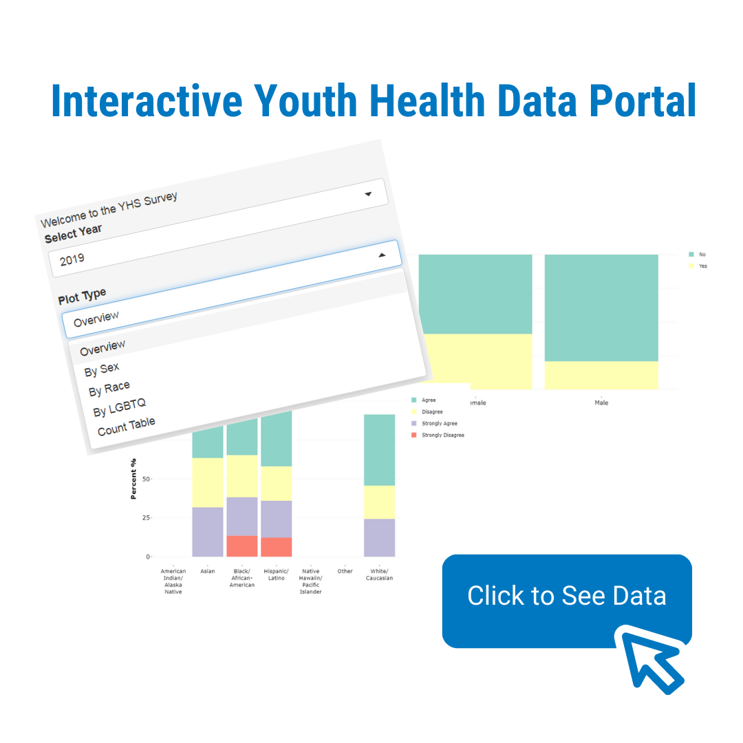  interactive youth health data portal.