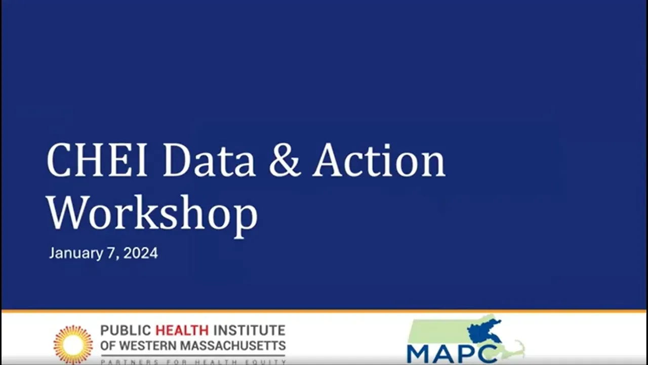 CHEI Data & Action Workshop (Jan 2025)