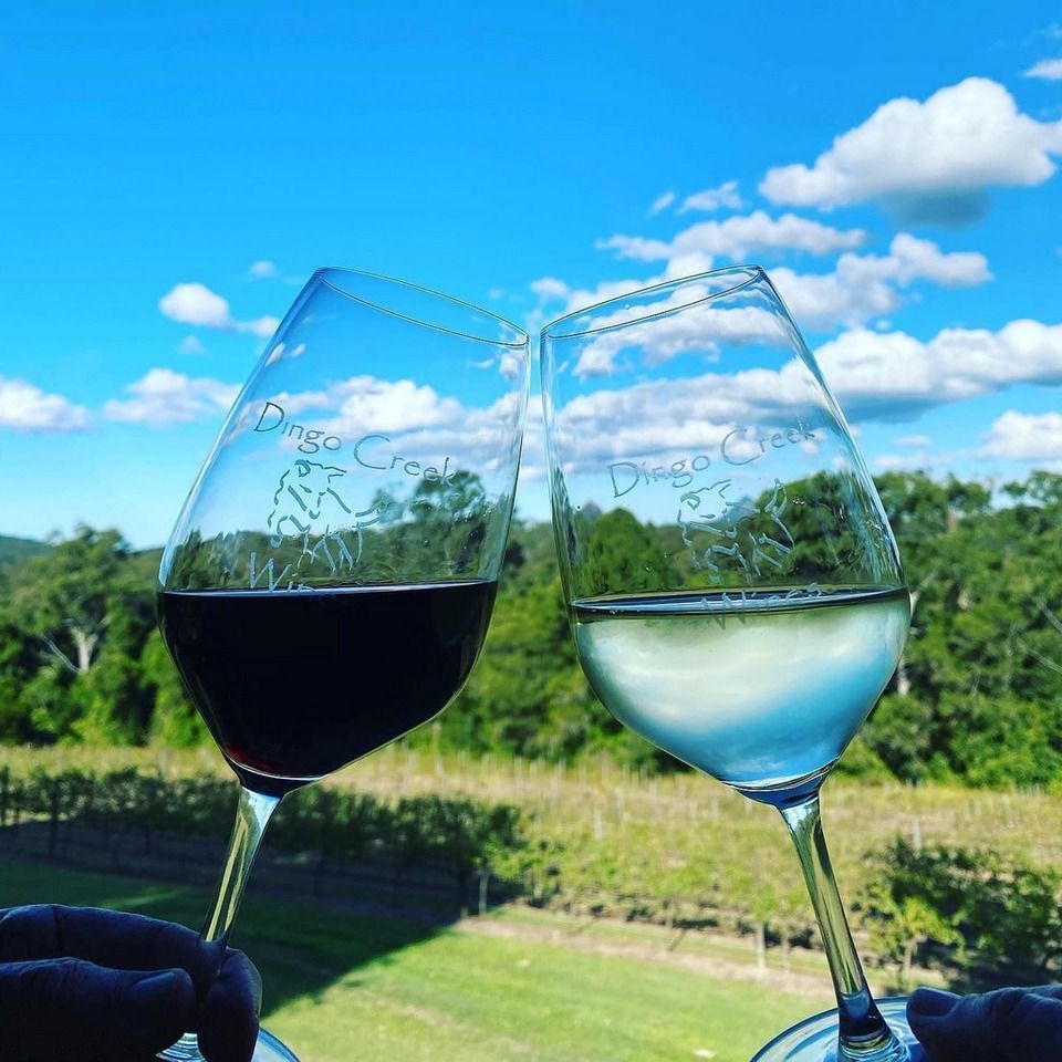 Two Wine Glasses Clinked Together, One Red Wine, One White Wine — Chefs2Go in Woodwark, QLD