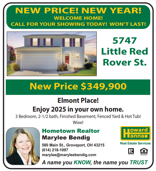 A real estate ad for a house in elmont place