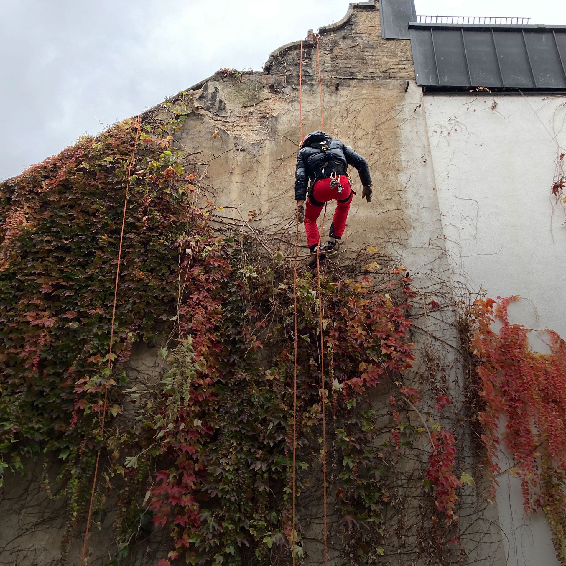 Un homme en pantalon rouge grimpe sur un mur