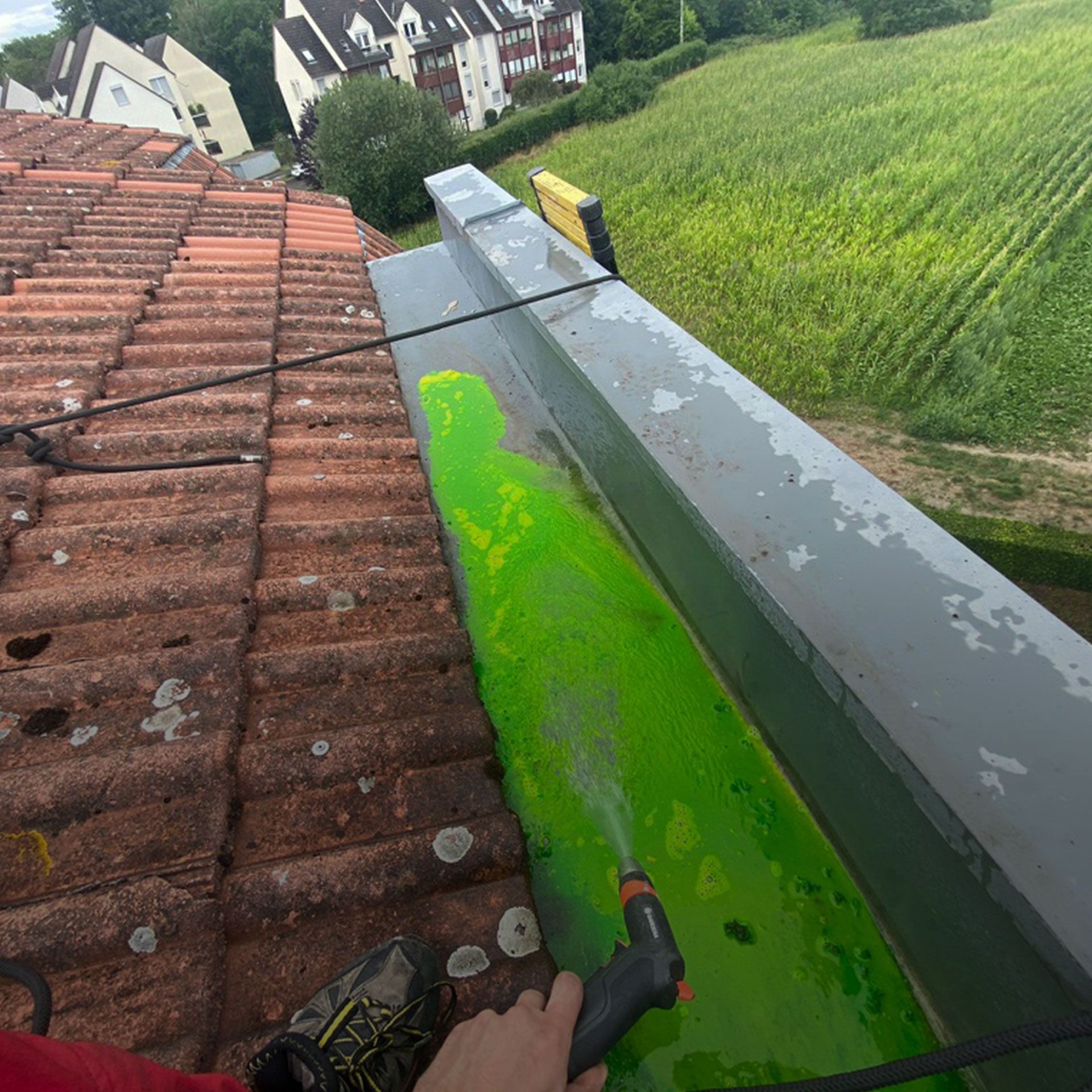 Une personne pulvérise de la peinture verte sur un toit