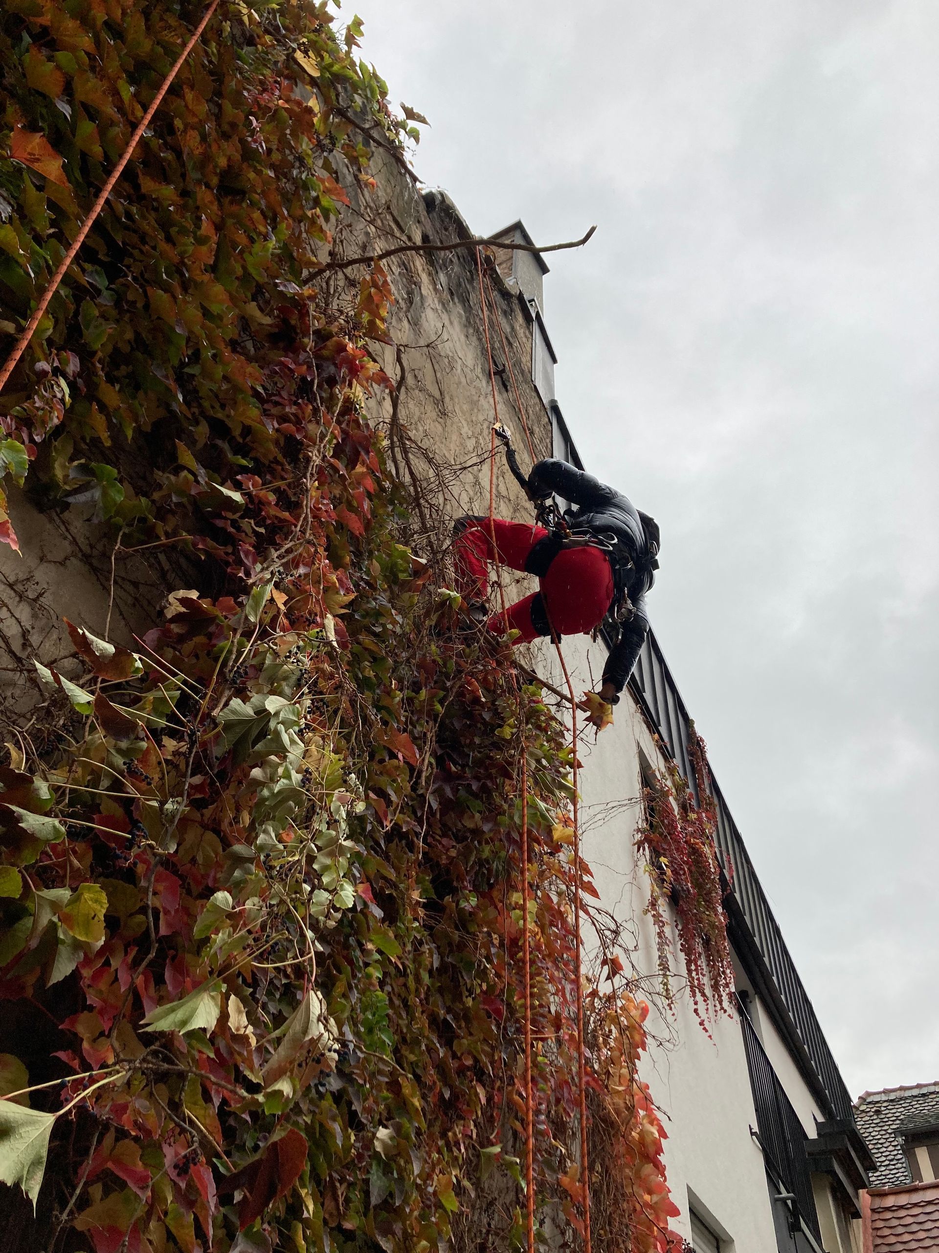 Une personne grimpe sur le côté d'un bâtiment.