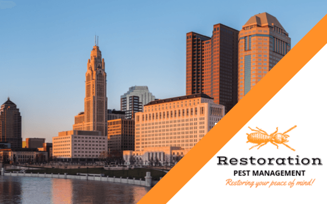 Pest-Control-Near-Me