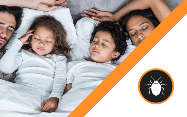 A family is sleeping on a bed next to a bug icon