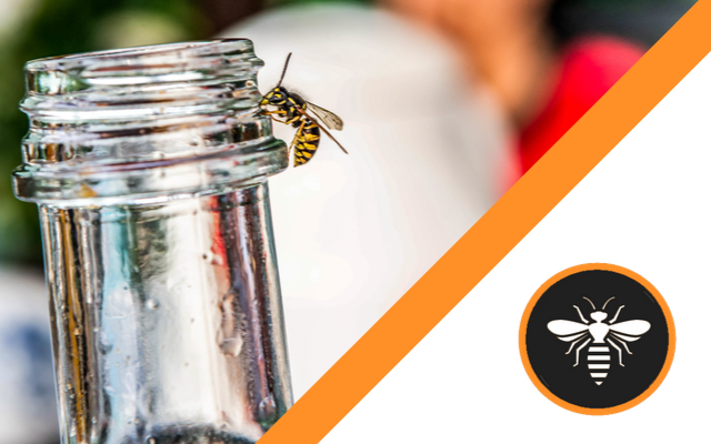 A bee is sitting on top of a glass bottle