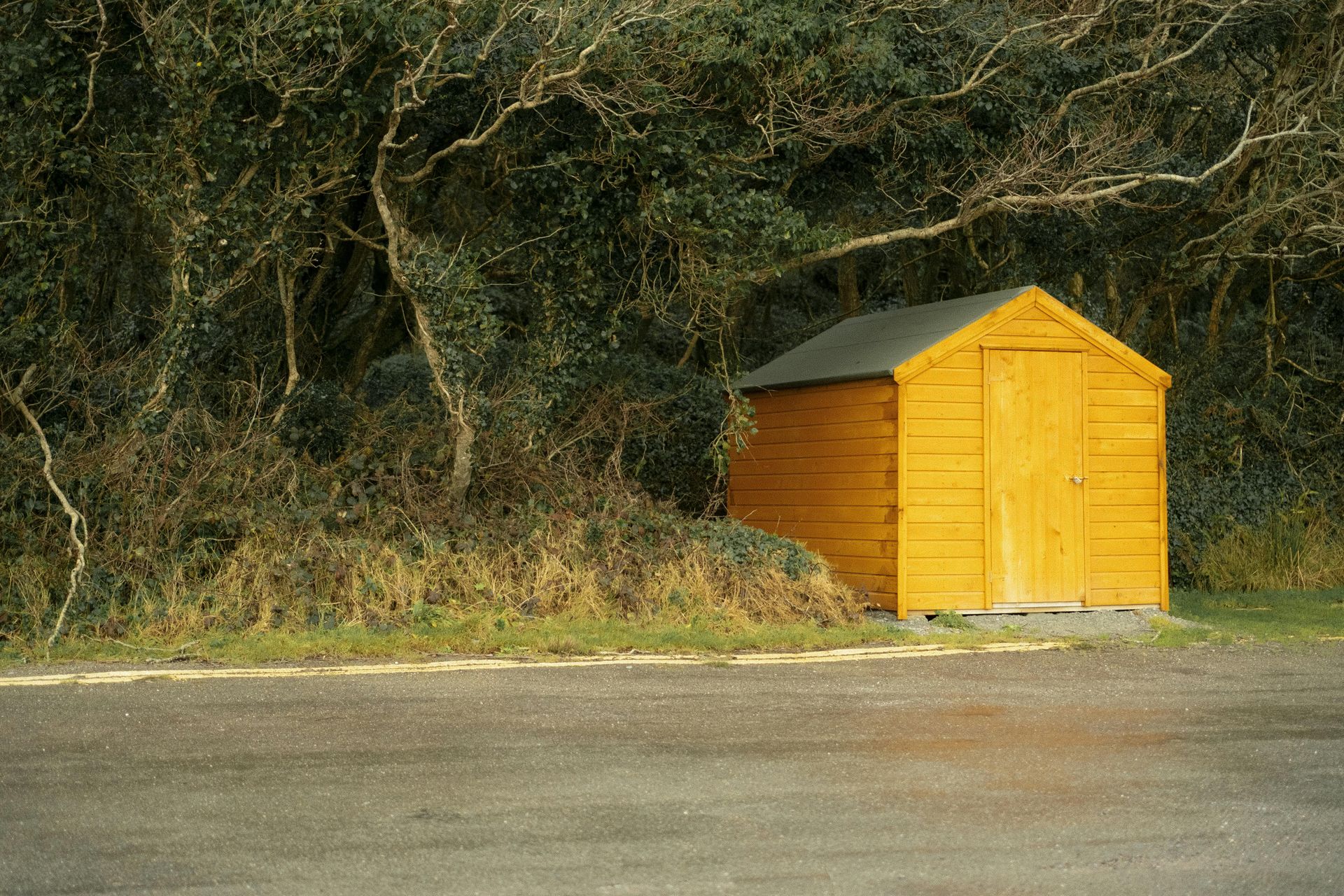 shed clearance bedford