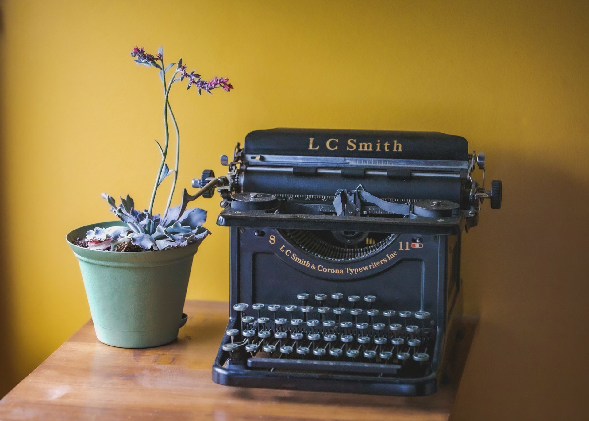photo of typewriter and potted plant