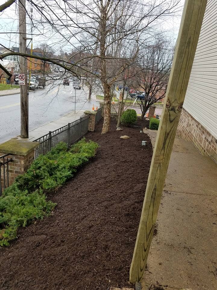 Seeding – Landscaping in the Side of the House in Jefferson Hills, PA