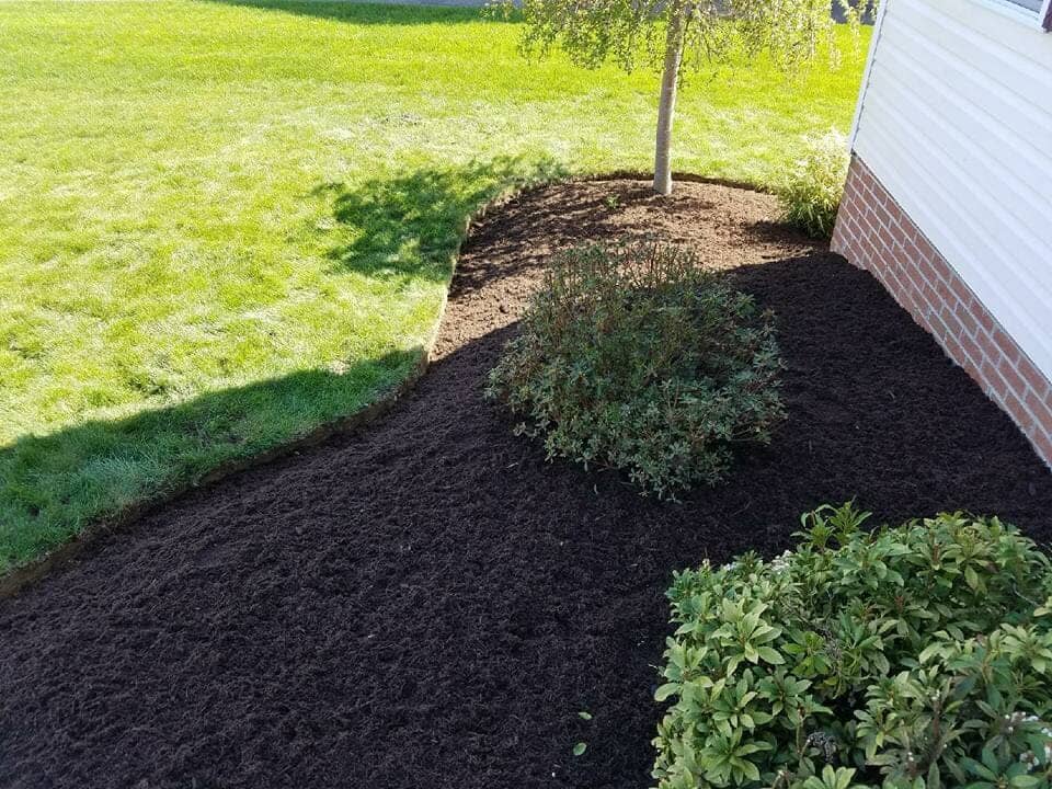 Scening – Newly Planted Plants in Jefferson Hills, PA