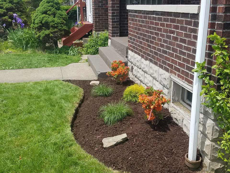 Lawn – Plants in Front of the House in Jefferson Hills, PA