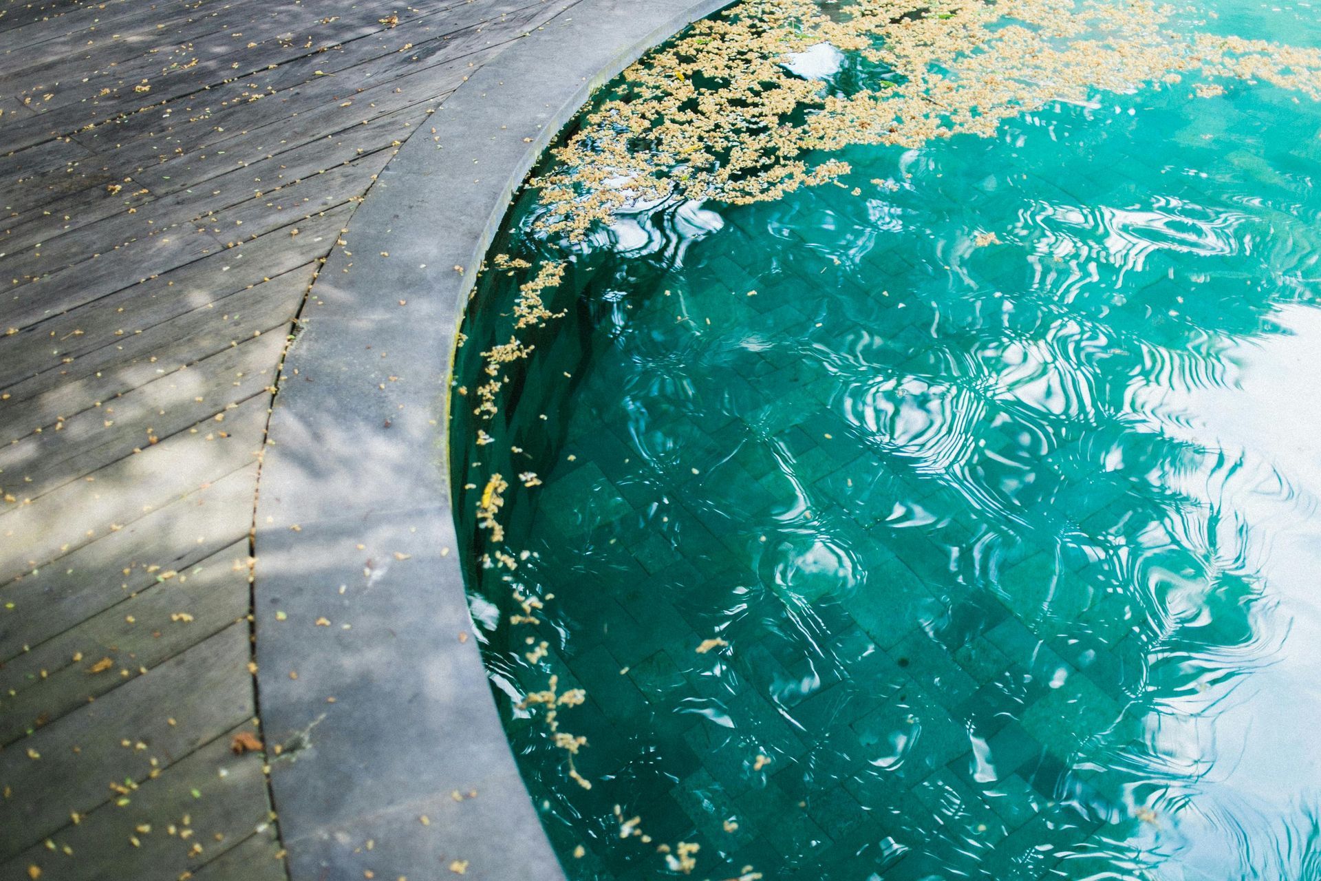 Curved stone pool edge beside turquoise water with floating leaves and reflections