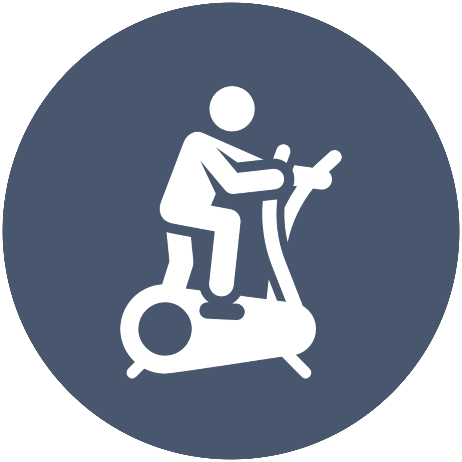 A person is riding an exercise bike in a circle.