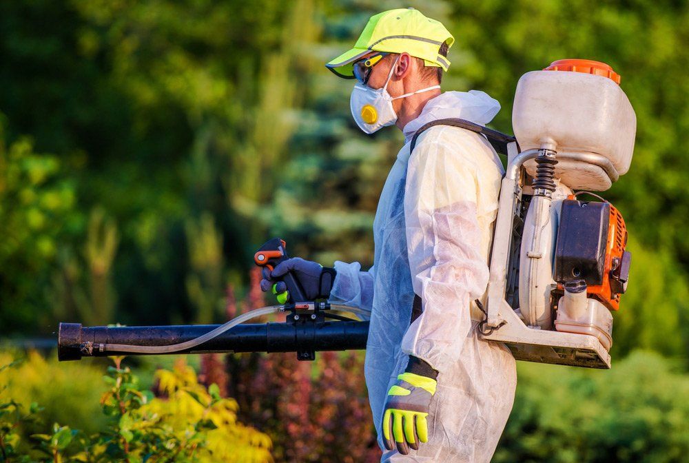 Garden Pest Control And Professional Gardening — Pest Control in Atherton, QLD
