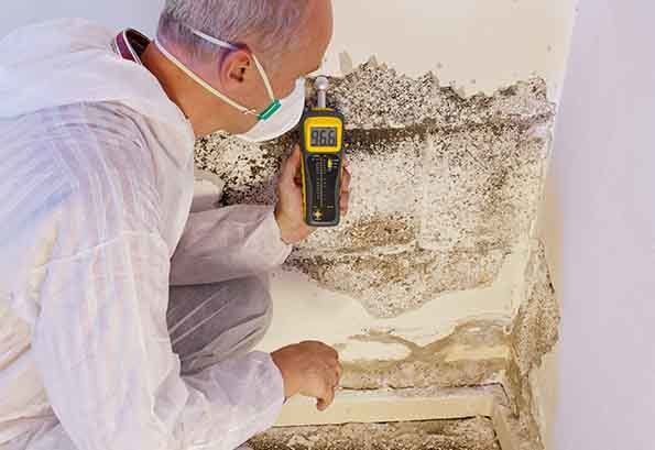 Man Detecting Termites — Pest Control in Atherton, QLD