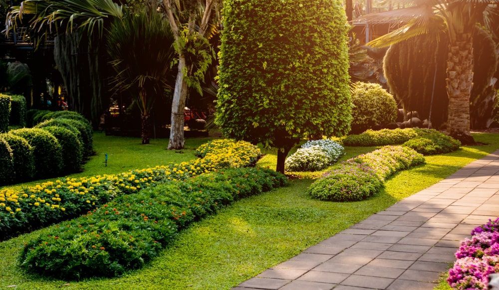 Lush Green Garden With Trees Bushes And Flowers — Mike's Tree Services In  Saint Georges Basin, NSW