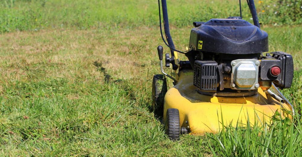 A Yellow Lawn Mower Is Cutting Grass In A Lush Green Field — Mike's Tree Services In Saint Georges Basin, NSW