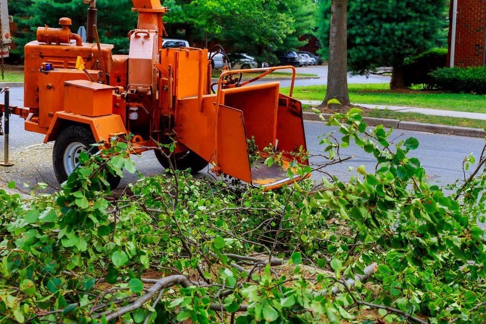 Tree Chipper Clearing Trees On The Side Of The Road — Mike's Tree Services In Saint Georges Basin, NSW