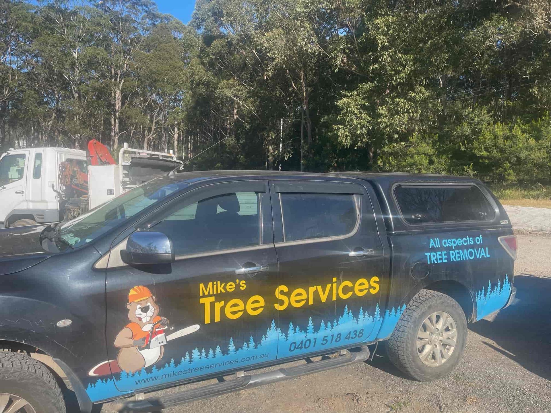 Black Truck Of Mike's Tree Services Parked In A Parking Lot — Mike's Tree Services In Saint Georges Basin, NSW