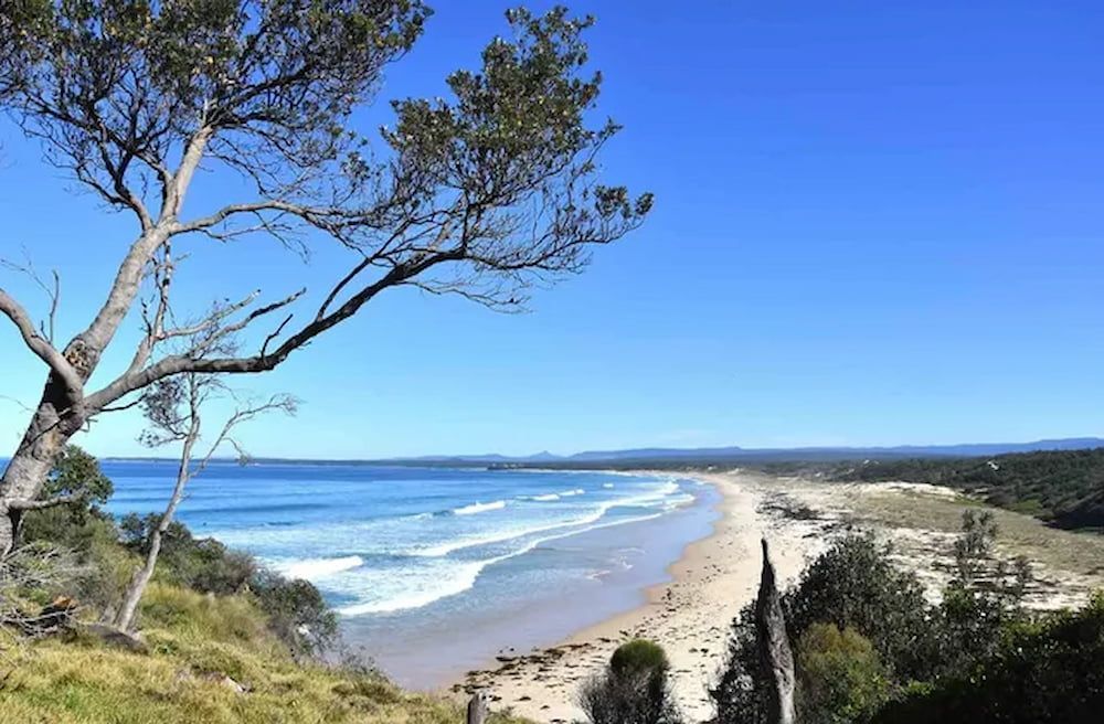 A View Of A Beach From A Hill With A Tree In The Foreground — Mike's Tree Services In Sussex Inlet, NSW